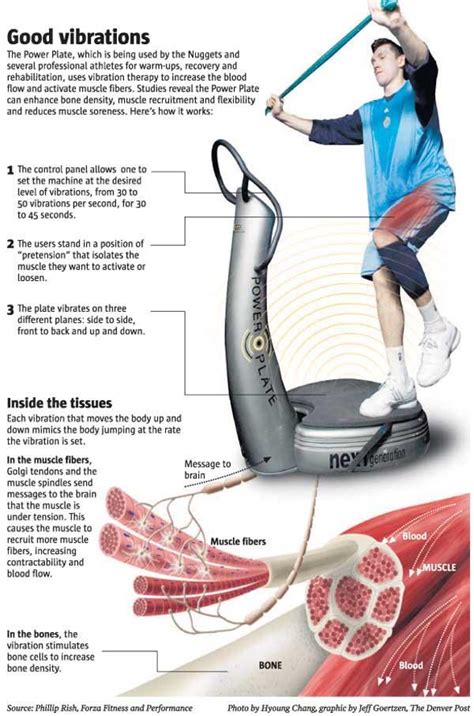 Power plate benefits. Things To Know About Power plate benefits. 